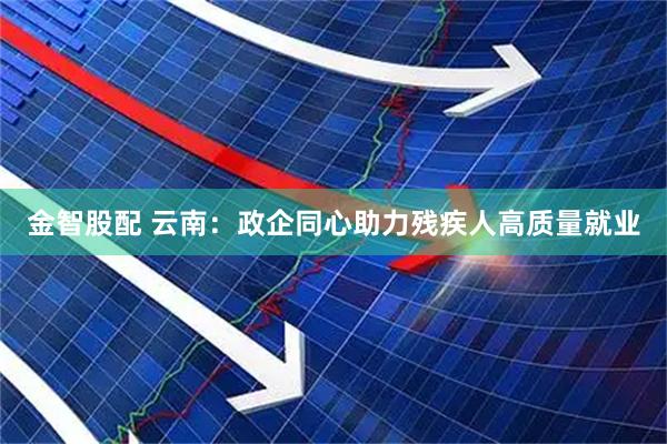 金智股配 云南：政企同心助力残疾人高质量就业