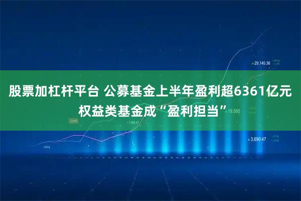 股票加杠杆平台 公募基金上半年盈利超6361亿元 权益类基金成“盈利担当”
