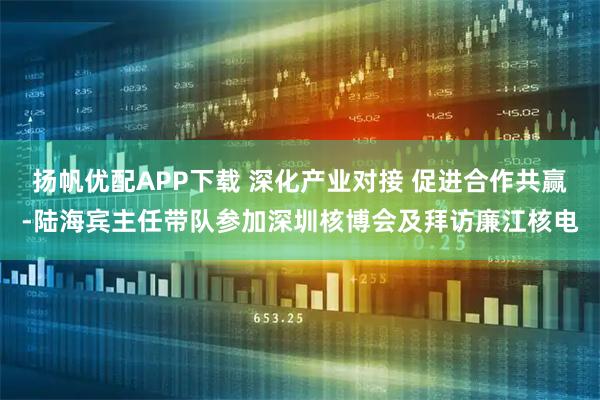 扬帆优配APP下载 深化产业对接 促进合作共赢-陆海宾主任带队参加深圳核博会及拜访廉江核电