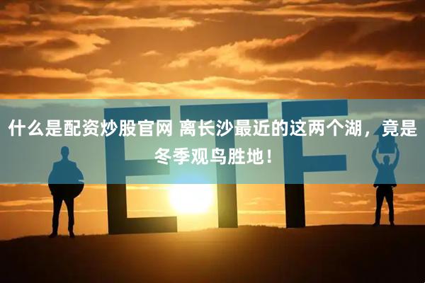 什么是配资炒股官网 离长沙最近的这两个湖，竟是冬季观鸟胜地！