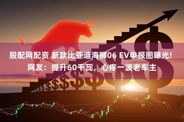 股配网配资 新款比亚迪海狮06 EV申报图曝光! 网友：提升60千瓦，心疼一波老车主